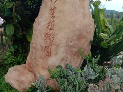 -亚龙湾国际玫瑰谷
