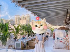 -天空花园餐吧·生日·团建(南山店)