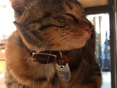 店内环境-猫的天空之城概念书店(杭州南宋御街店)