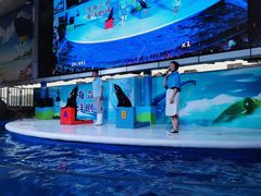 -成都浩海立方海洋公园