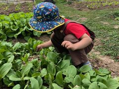 -前小桔亲子创意农场·草莓采摘·露营烧烤