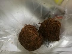 黑松露风味小贝-鲍师傅糕点(西站店)