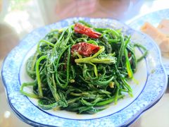 沙葱拌苦菜-真食净香居·内蒙烧麦(亚运村店)
