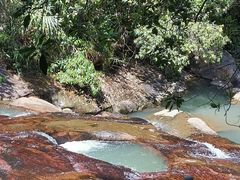 -广州白江湖森林公园