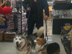 -米卢宠物公园(广华居店)