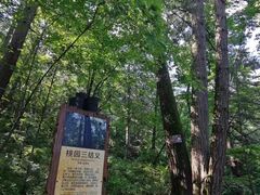 -青峰峡国家森林公园