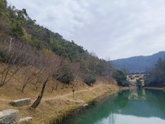 -桃花岭景区