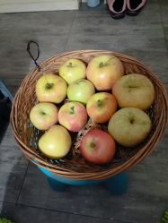 -花隐·美芙炫海菲秀皮肤管理中心