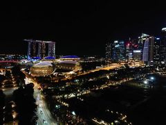 -新加坡瑞士史丹福酒店