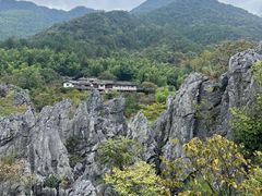 -千岛湖石林