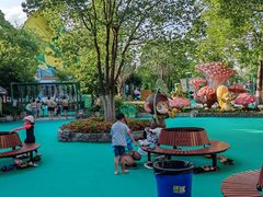 -苏州乐园森林水世界