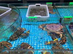 -梦都海鲜酒家(万达广场江桥店)