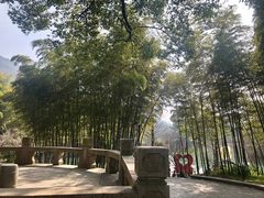 -宝岩生态观光园