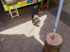 -南门头上美食街