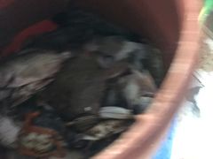 -盒马鲜生(馥邦国际店)