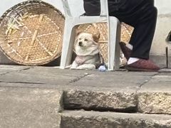 -小河无名面馆