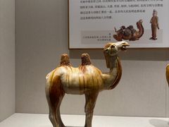-深圳博物馆(古代艺术馆)
