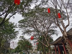 -顺峰山公园