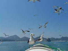 -海驴岛(荣成市)