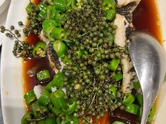 -新吉士·上海菜(浦东LCM置汇旭辉店)