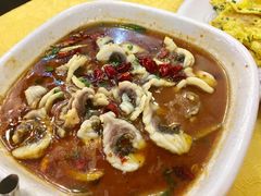 -焯明脆肉鲩世家(金沙洲店)