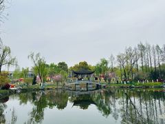 -武汉园博园(武汉自然博物馆)