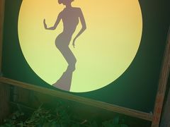 -雀舞云南菜(天津天河城购物中心店)