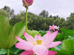 -长春世界雕塑园冰雪艺术天地