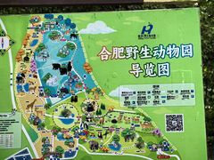 -合肥野生动物园