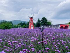 -名花谷生态庄园