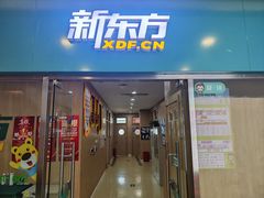 -新东方素质(金源校区)