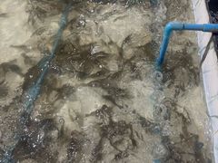 -芭提雅Amporn Seafood自助餐厅