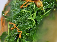 -石岐乳鸽村(桥观坊南四巷店)