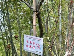 -达蓬山旅游度假区