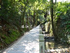 -十八棵（老龙井）御茶园(老龙井店)
