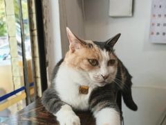 -牛市口盲人按摩(舒康分院)