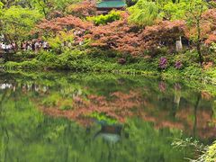 -岳麓山风景名胜区