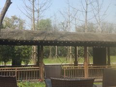 -东园小馆·早茶·淮扬小炒(宋夹城店)