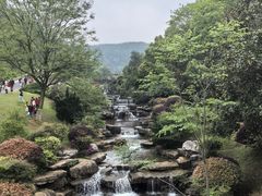 -桃花岭景区