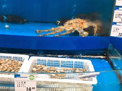 -果蔬好生活超市(乐堤港店)