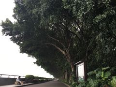 -大湾区中央湿地公园