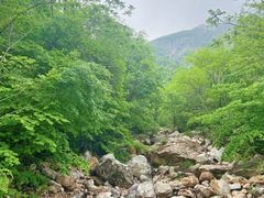 -大连天门山国家森林公园