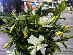 -小王少龙火锅(沙南街店)