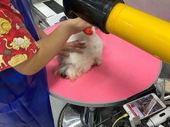 -宠福鑫康馨动物医院·骨科·眼科