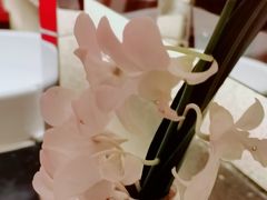 -三亚太阳湾柏悦酒店