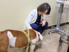 -美联众合动物医院·24h转诊中心