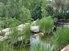 -大连罗马假日酒店温泉