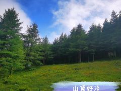 -红崖峡谷景区
