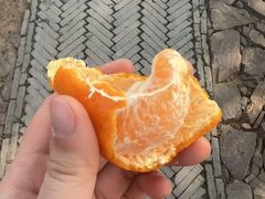 -雨花胜境