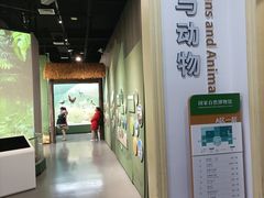 -国家自然博物馆